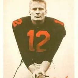 Portrait of Greg Cook