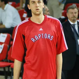 Portrait of Andrea Bargnani