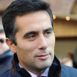 Portrait of Massimiliano Salini