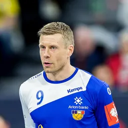 Portrait of Guðjón Valur Sigurðsson