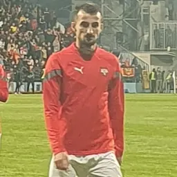 Portrait of Erhan Mašović