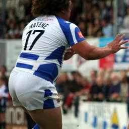 Portrait of Frank Watene