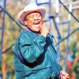 Portrait of Bobby Bland