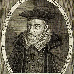 Portrait of Jacobus Theodorus Tabernaemontanus