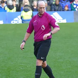 Portrait of Mike Dean