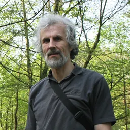 Portrait of Francis Heylighen