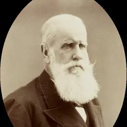 Portrait of Pedro II of Brazil