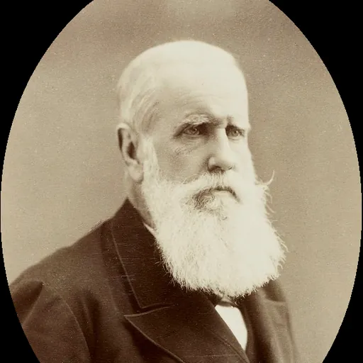 Portrait of Pedro II of Brazil