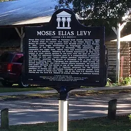 Portrait of Moses Elias Levy
