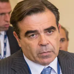 Portrait of Margaritis Schinas