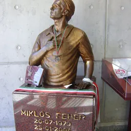 Portrait of Miklós Fehér