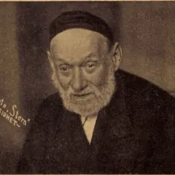 Portrait of Hersh Leib Sigheter