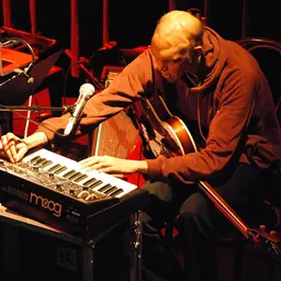 Portrait of Shahzad Ismaily