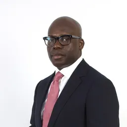 Portrait of Adewale Tinubu