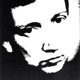 Portrait of Wim Mertens