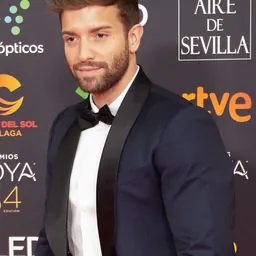 Portrait of Pablo Alborán