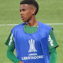 Portrait of Estevão