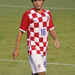 Portrait of Frane Bitunjac