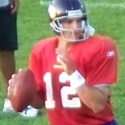Portrait of Gus Frerotte