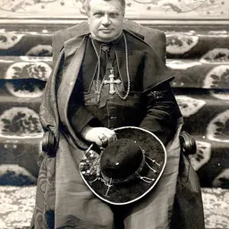Portrait of Pietro Maffi