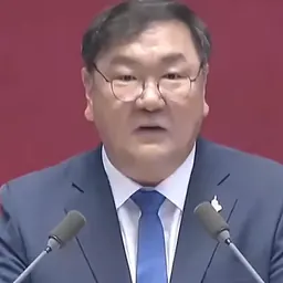 Portrait of Kim Tae-nyeon