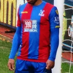 Portrait of Jason Puncheon