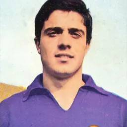 Portrait of Claudio Merlo
