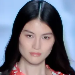 Portrait of Sui He