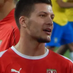Portrait of Luka Jović