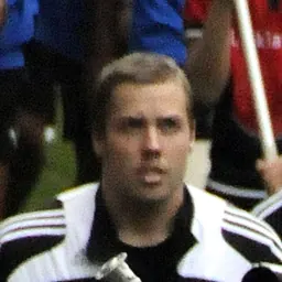 Portrait of Tim Mikkelson