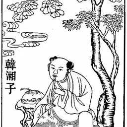 Portrait of Han Xiang