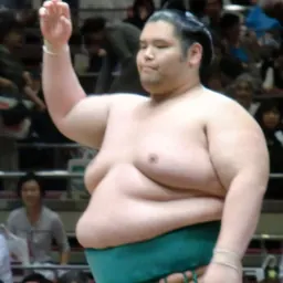 Portrait of Motohisa Tokushinhō