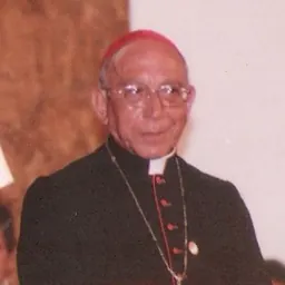 Portrait of Agostino Casaroli