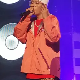 Portrait of Zico