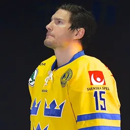 Portrait of Mattias Sjögren
