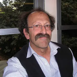 Portrait of David Dean Shulman