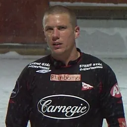 Portrait of Patrik Gerrbrand
