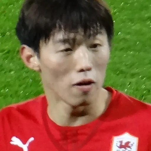 Portrait of Kim Bo-kyung