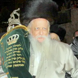 Portrait of Mayer Alter Horowitz