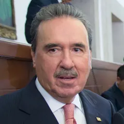 Portrait of Emilio Gamboa Patrón