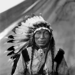 Portrait of Iron Tail