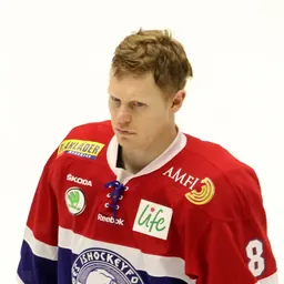 Portrait of Mads Hansen