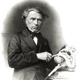 Portrait of Louis Thomas Jérôme Auzoux