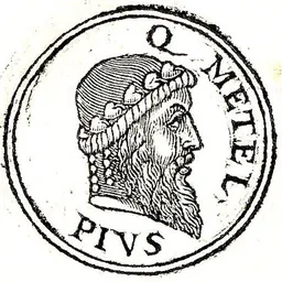 Portrait of Quintus Caecilius Metellus Pius
