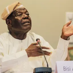 Portrait of Adebisi Akande