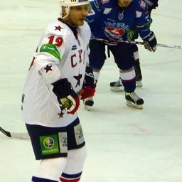 Portrait of Alexei Yashin