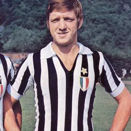 Portrait of Giuliano Musiello