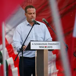 Portrait of Péter Juhász