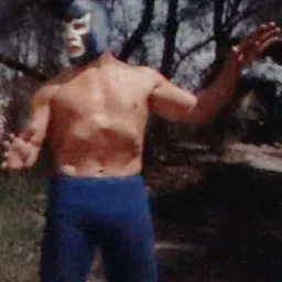 Portrait of Blue Demon