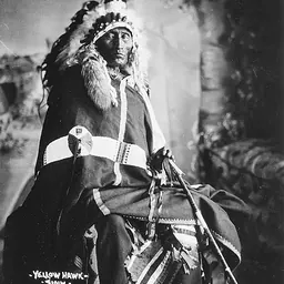 Portrait of Yellow Hawk